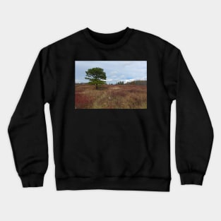 The Big Meadow Crewneck Sweatshirt